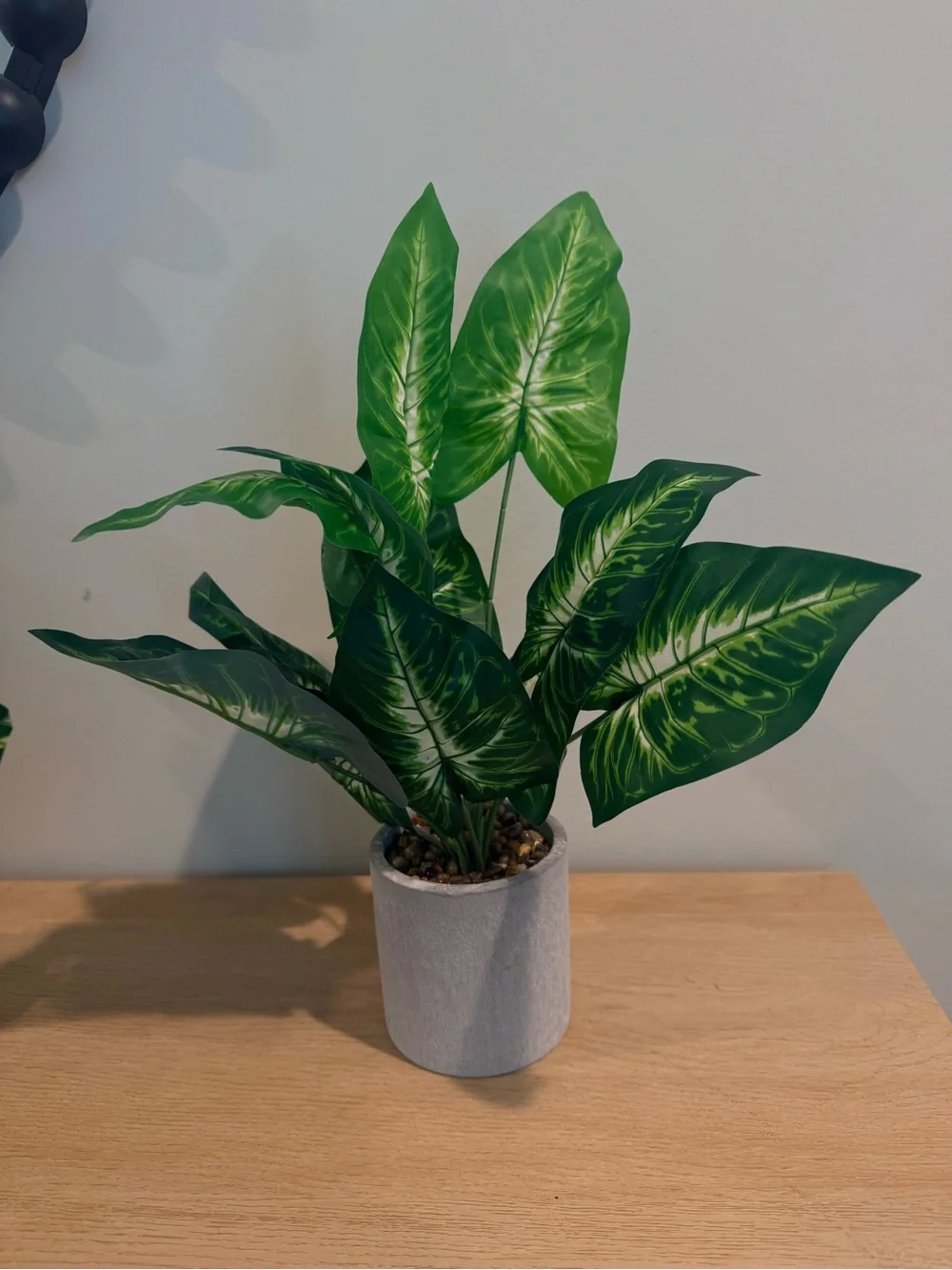 T.J.Maxx set decorative
